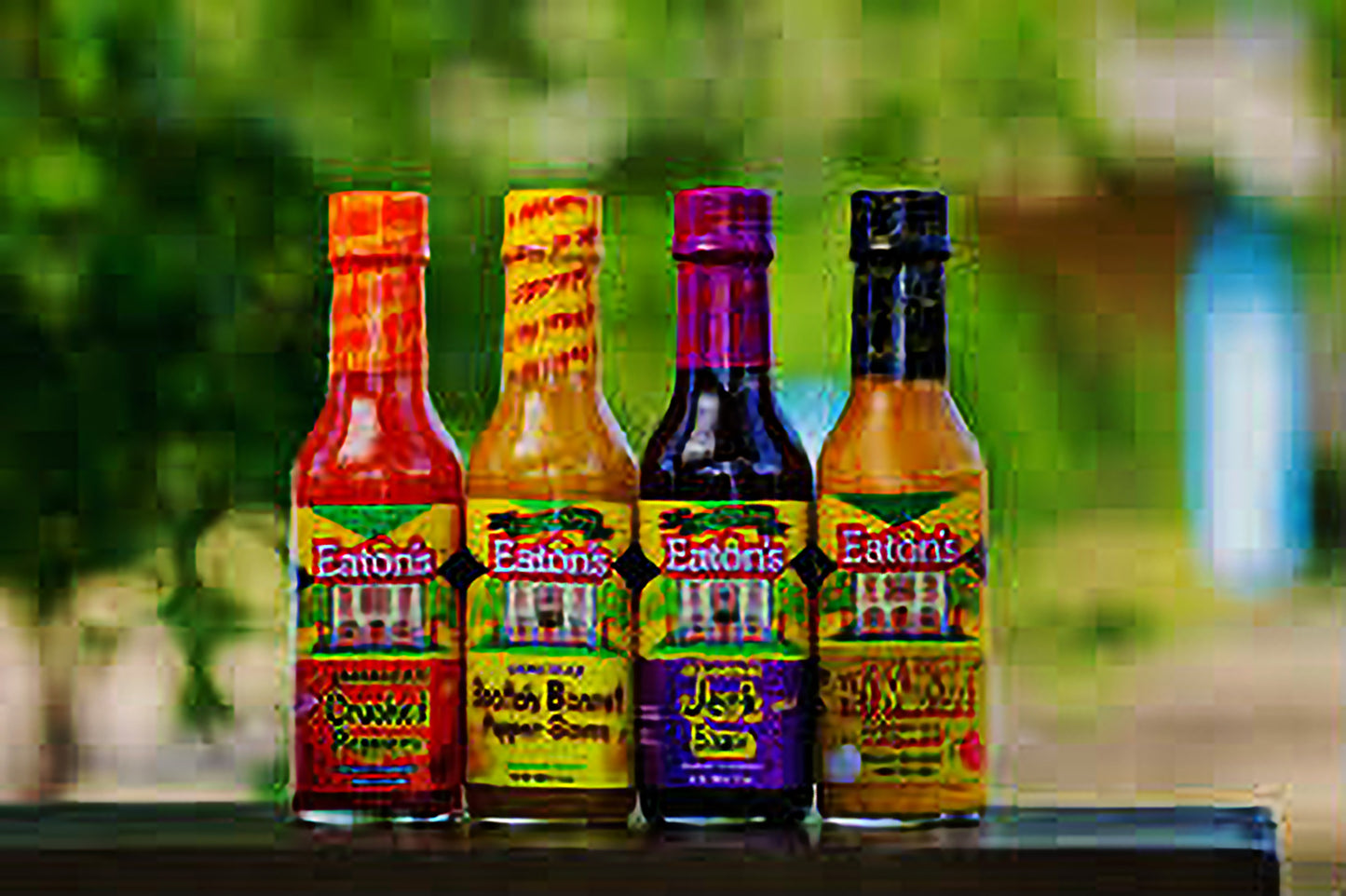 Eaton's 4 Pack - Sweet Jamaica Shopping