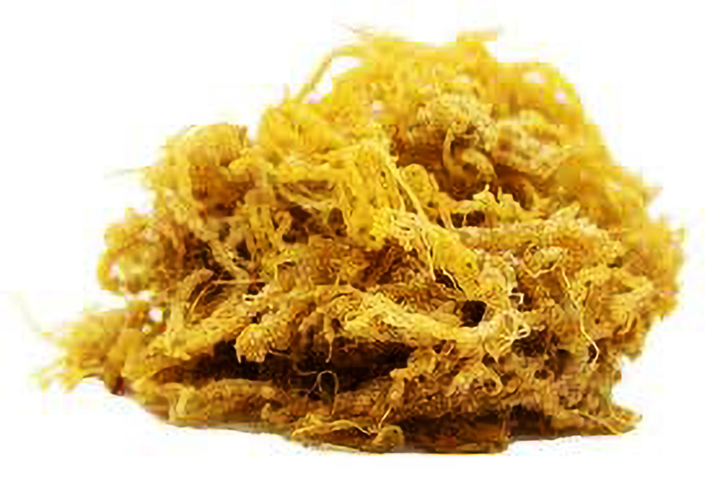 Whole Leaf Gold Sea Moss 1 lb -16 Oz - Sweet Jamaica Shopping