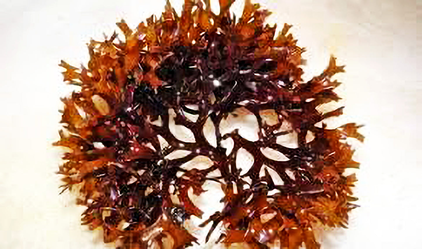 Whole Leaf purple Wildcraft Sea Moss 1 lb -16 Oz - Sweet Jamaica Shopping