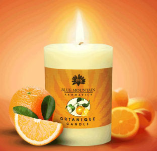 Ortanique Pillar candle (15oz)