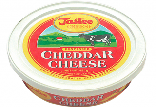 Tastee Cheese 17 oz