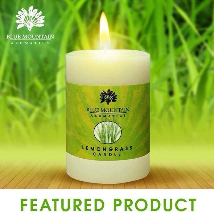 Lemongrass Pillar candle (15oz)
