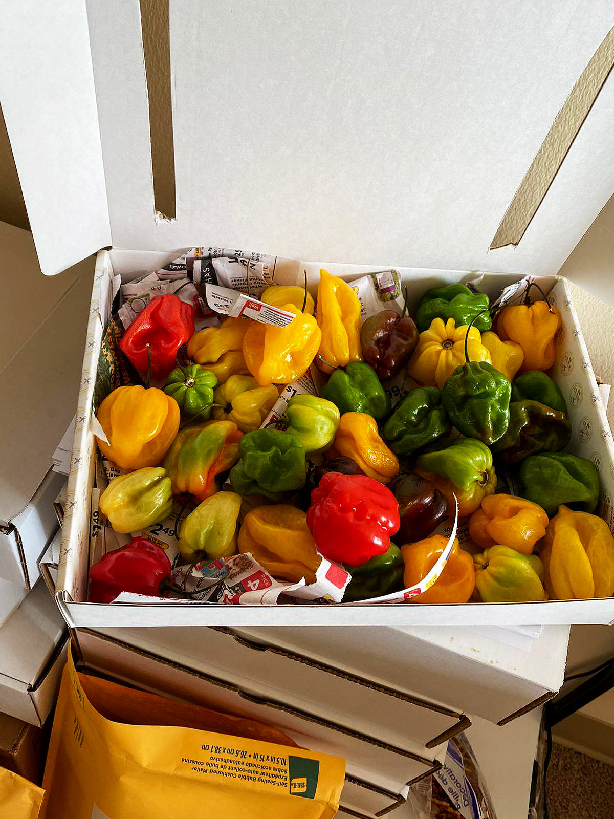 Country Peppers 1LB