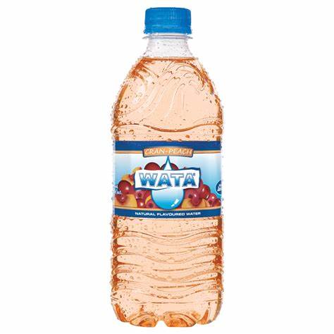 WATA CRANBERRY FLAVOURED ASSRT. 600ML (pk 3) - Sweet Jamaica Shopping