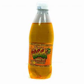 Bigga Soda 600mL set of 6