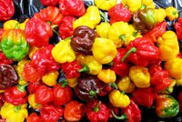 Country Peppers 1LB