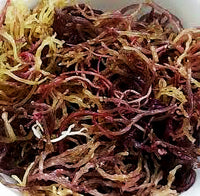 Whole Leaf purple Wildcraft Sea Moss 1 lb -16 Oz