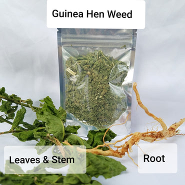 Guinea Hen root & leaves