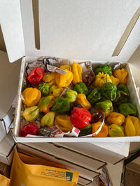 Country Peppers 1LB