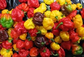 Country Peppers 1LB