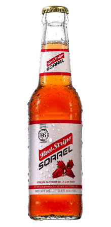 Red Stripe Sorrel Beer